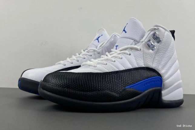 Jordan Trendsetting 12 CT8013- Air 3860 732 0618